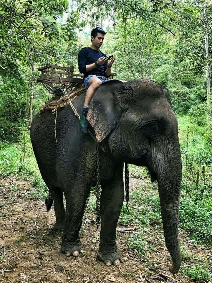elephant traveling by cs shoes elephant traveling by cs shoes